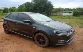 Volkswagen Polo others