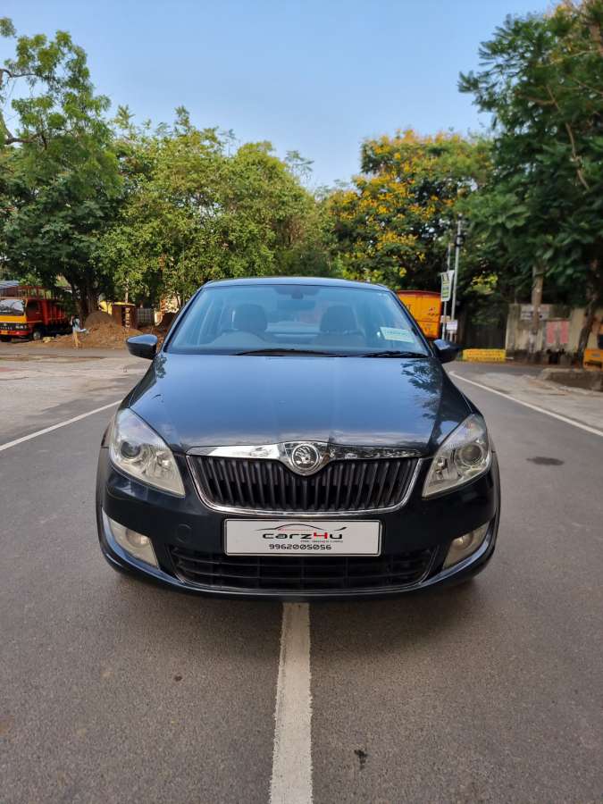 Skoda others