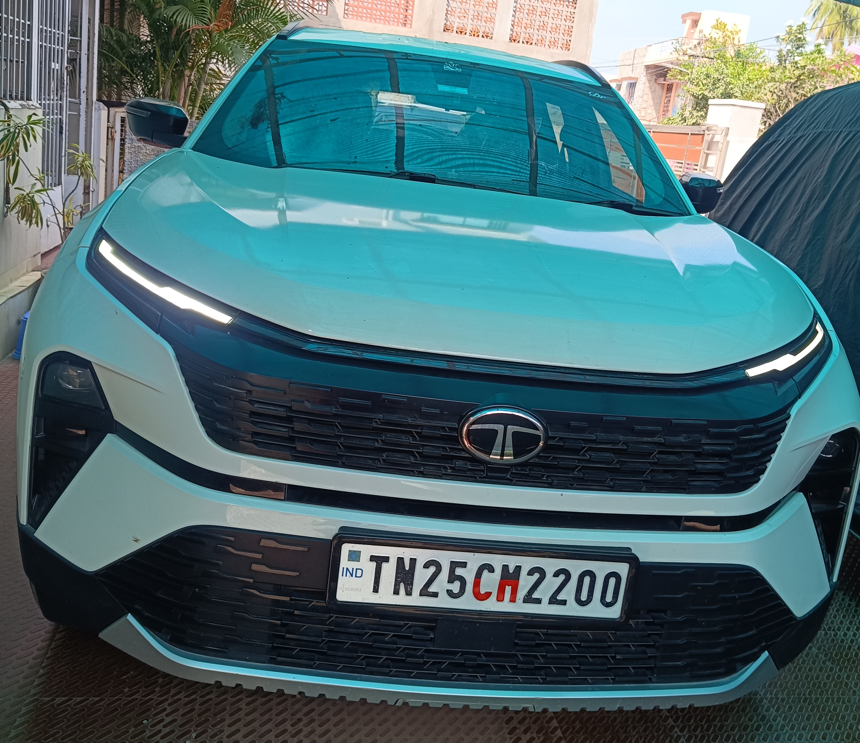 Tata Harrier Pure Plus