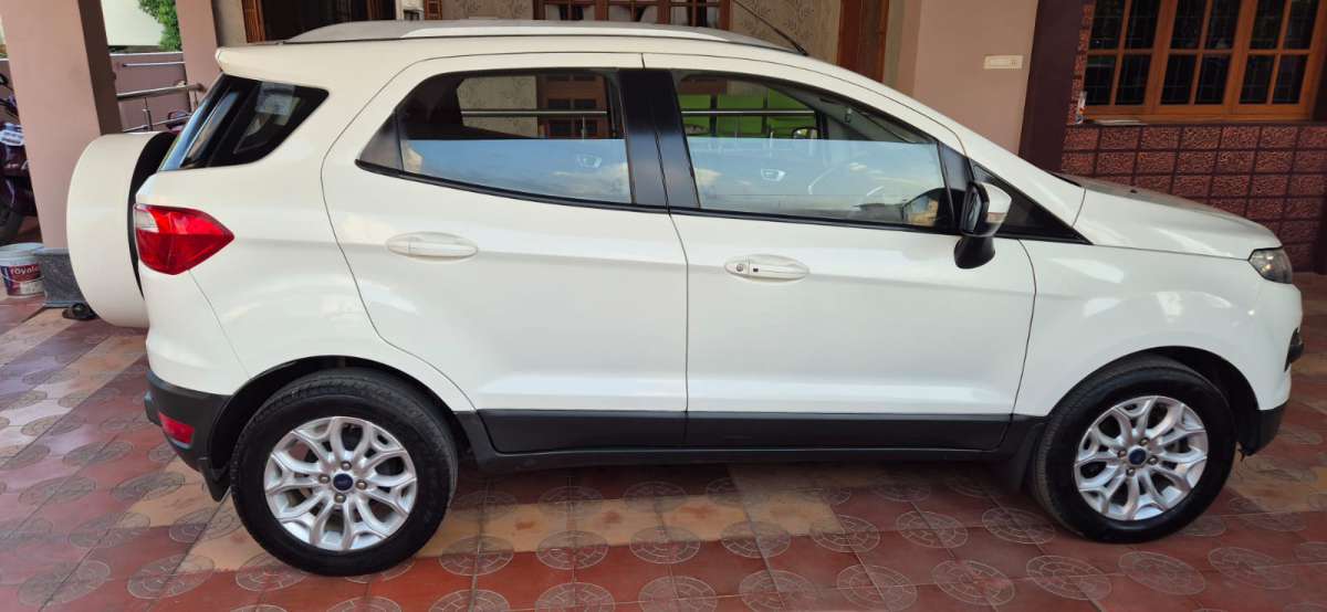 Ford Ecosport others