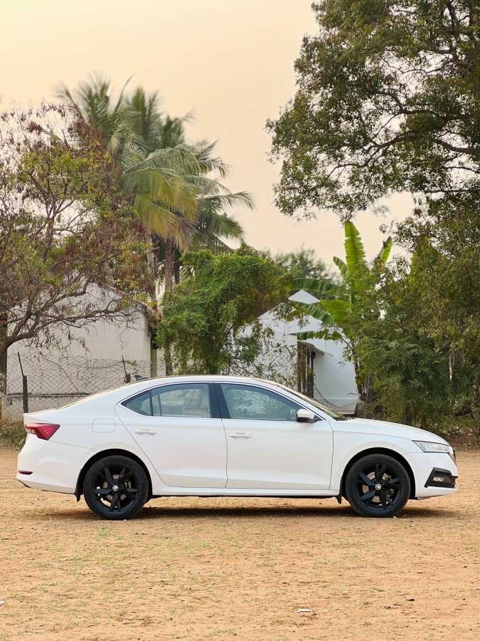 Skoda Octavia - Image 2