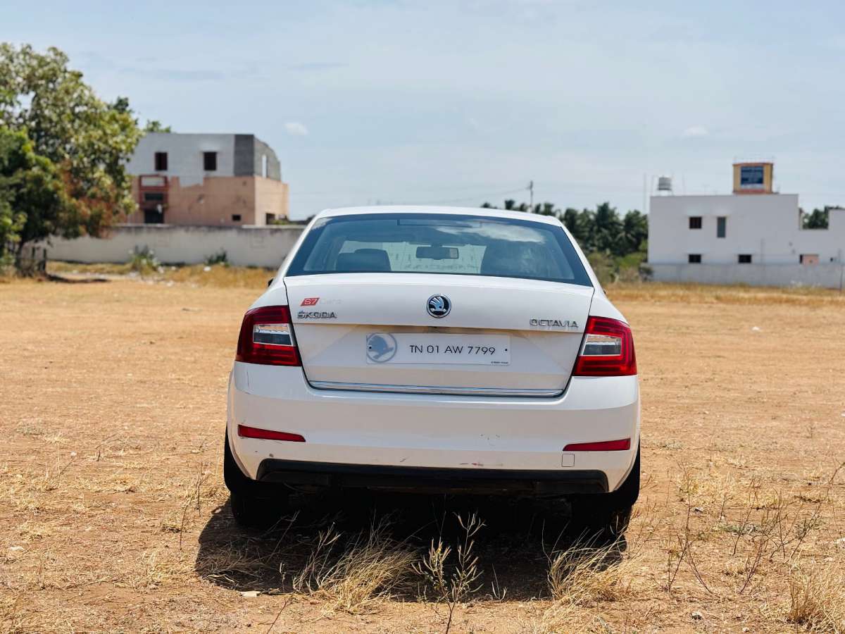 Skoda Octavia - Image 2