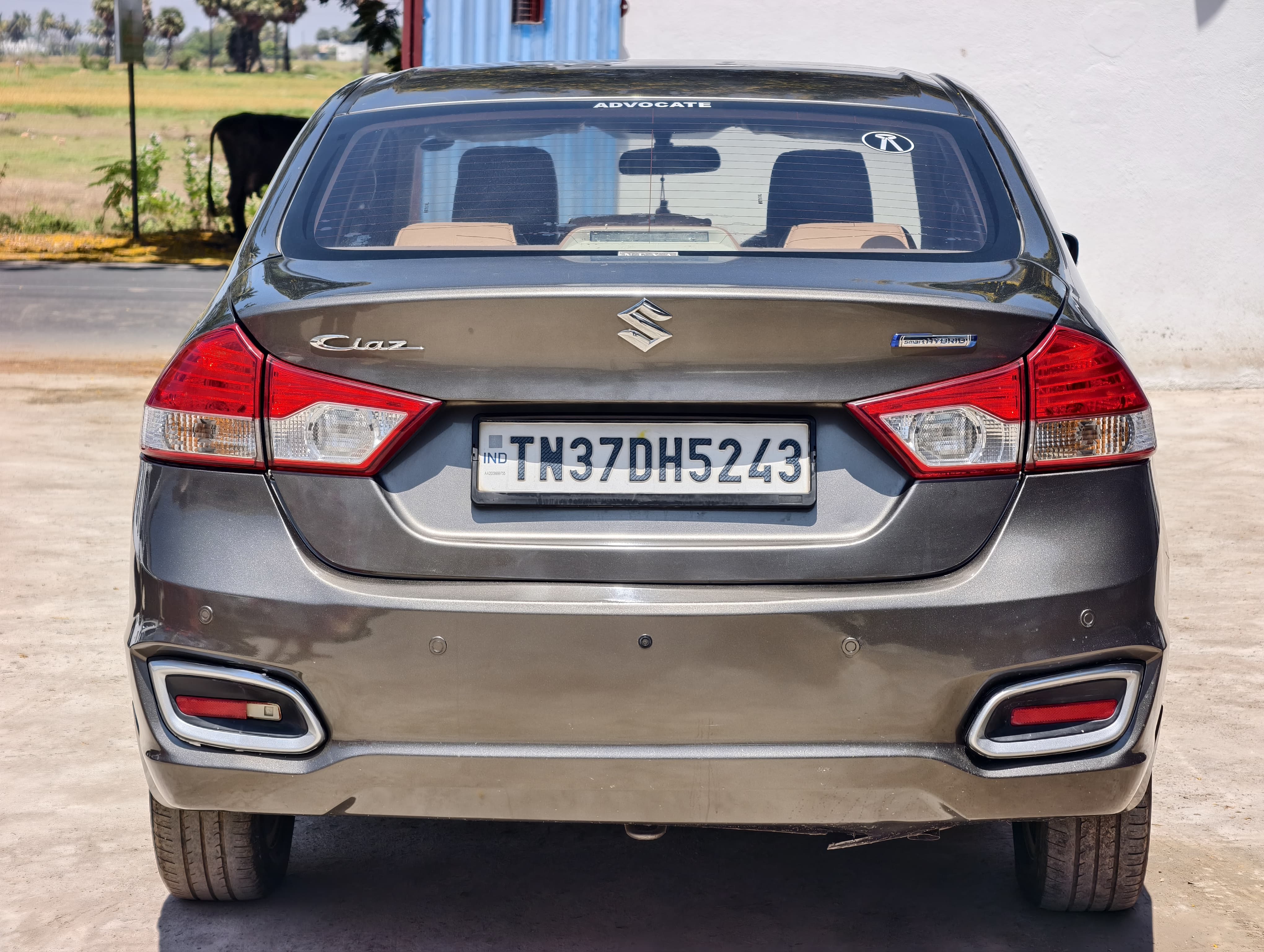 Maruti Suzuki Ciaz - Image 8