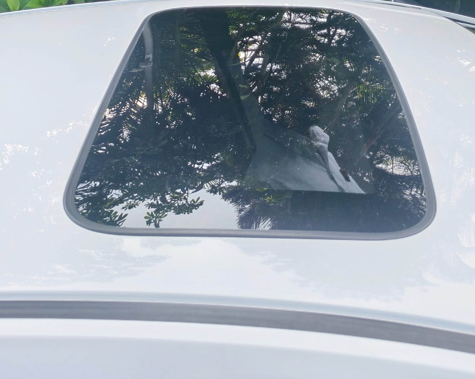 Honda City - Image 8