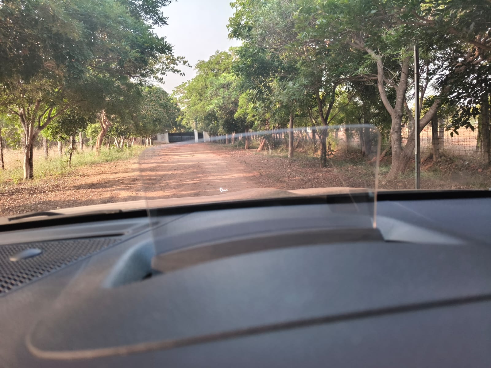 Kia Seltos - Image 8