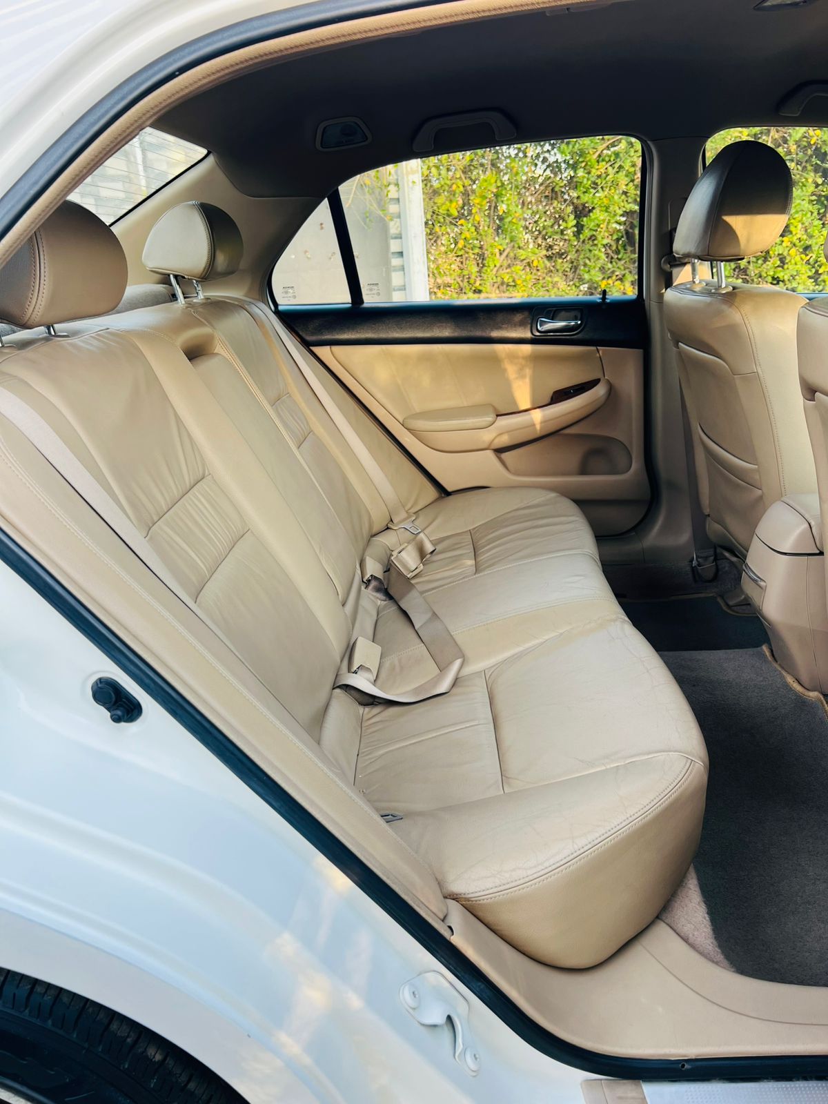 Honda Accord - Image 8