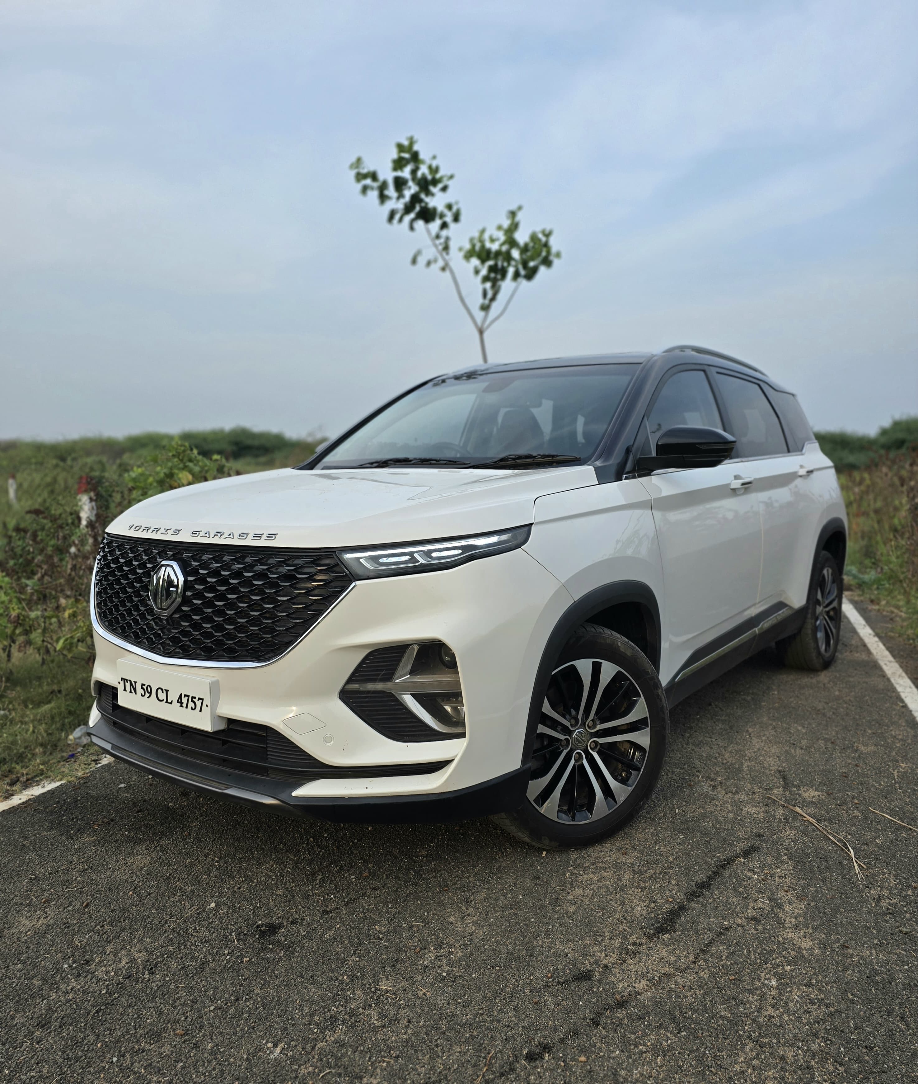 MG Hector Plus - Image 2