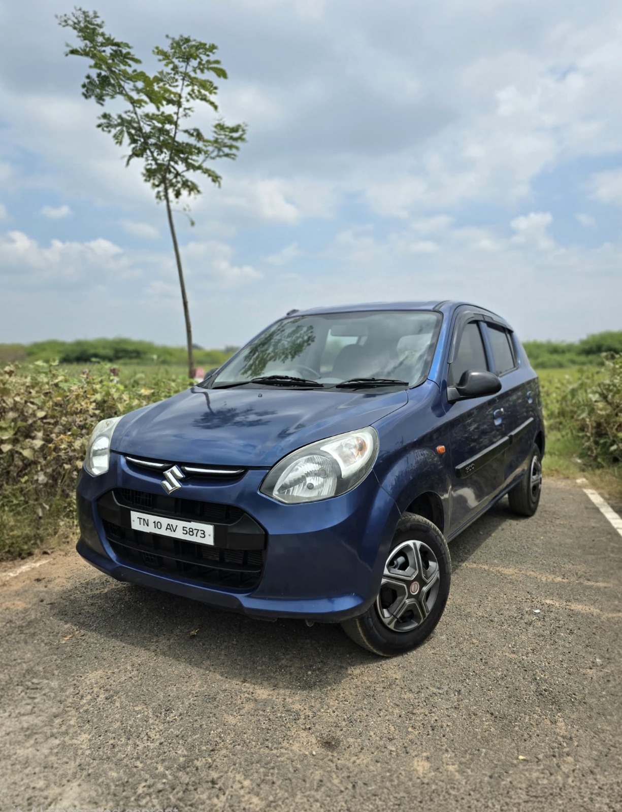 Maruti Suzuki Alto 800 - Image 13