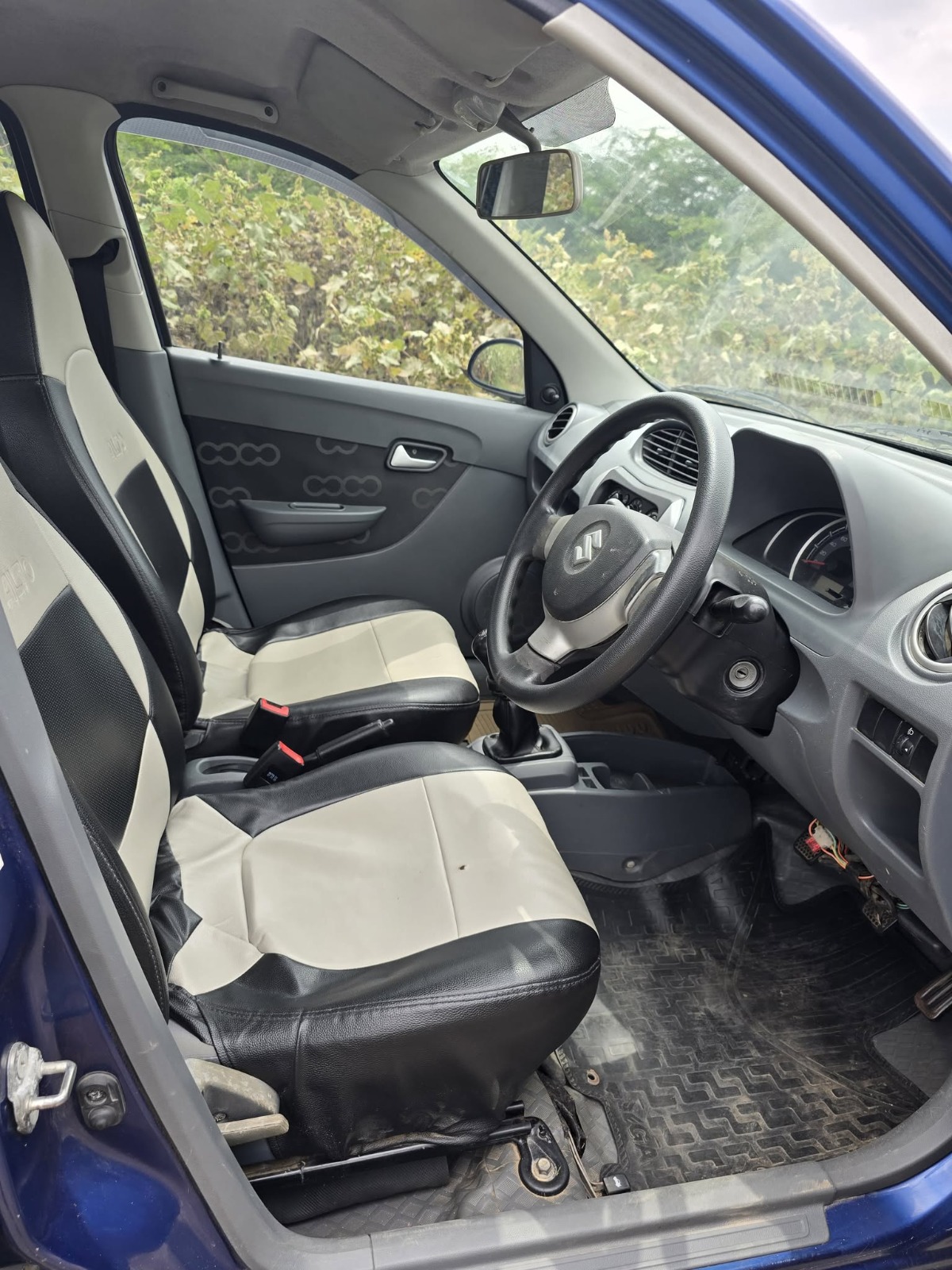 Maruti Suzuki Alto 800 - Image 5