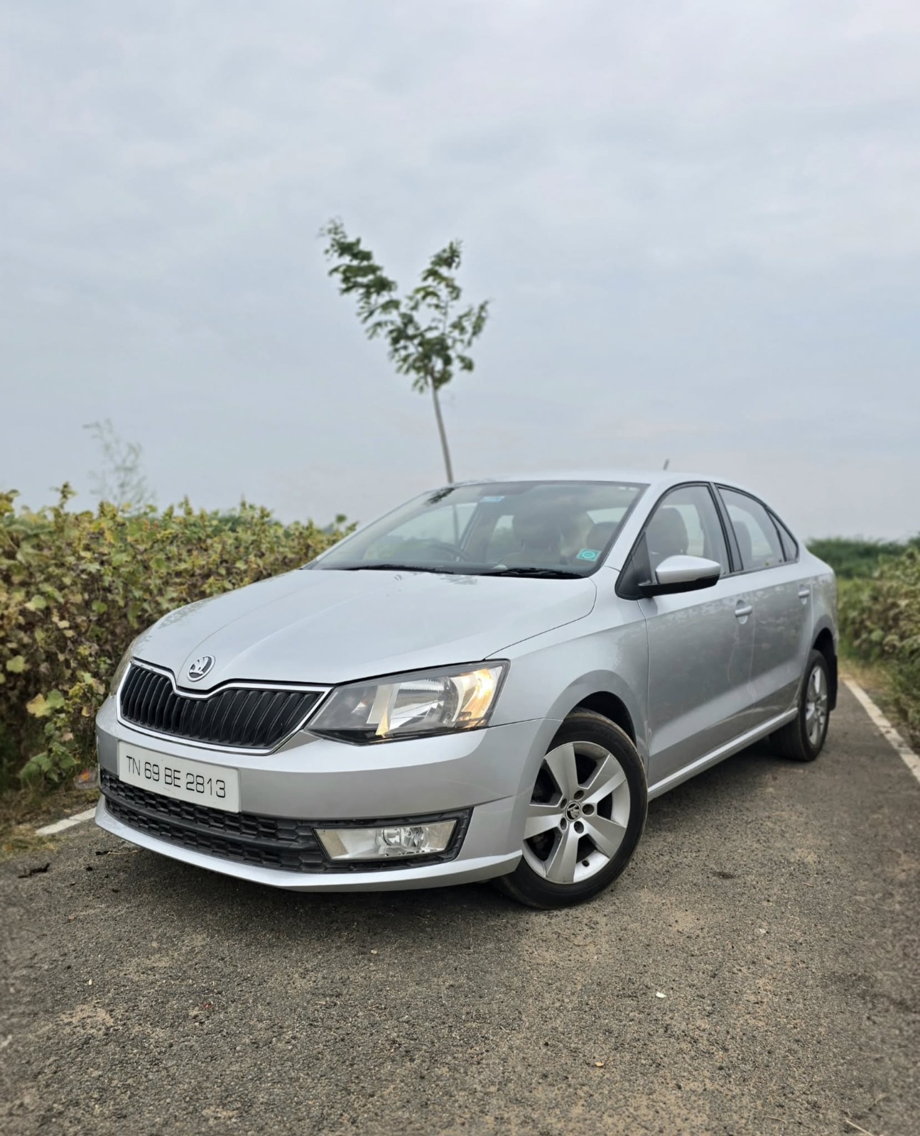 Skoda Rapid - Image 5