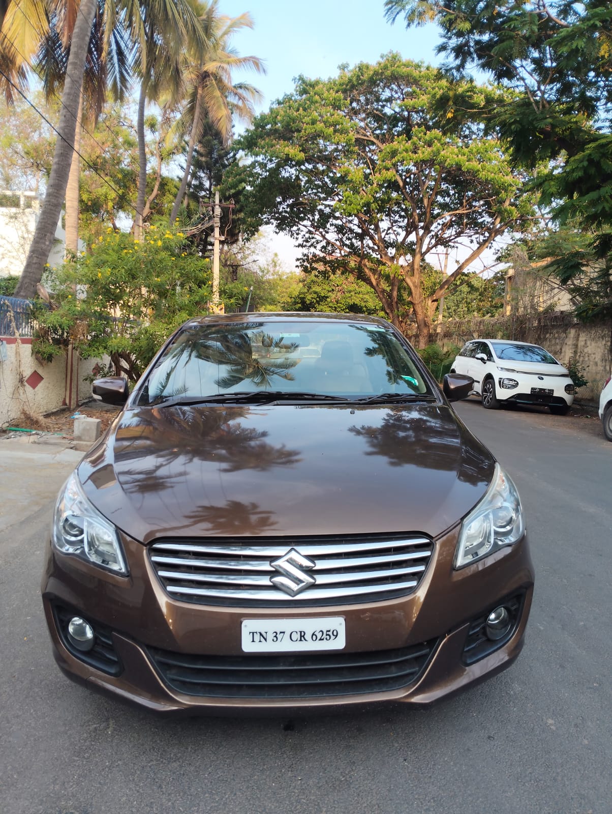 Maruti Suzuki Ciaz