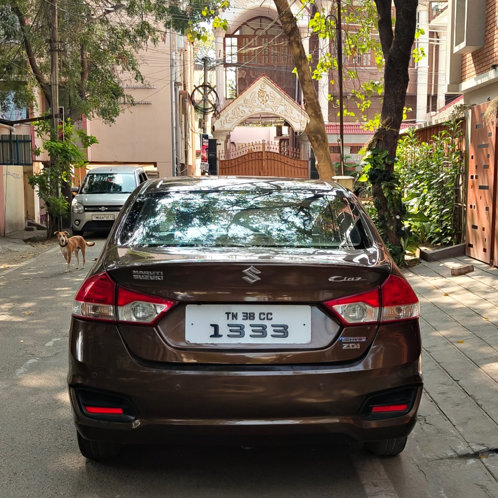 Maruti Suzuki Ciaz - Image 6