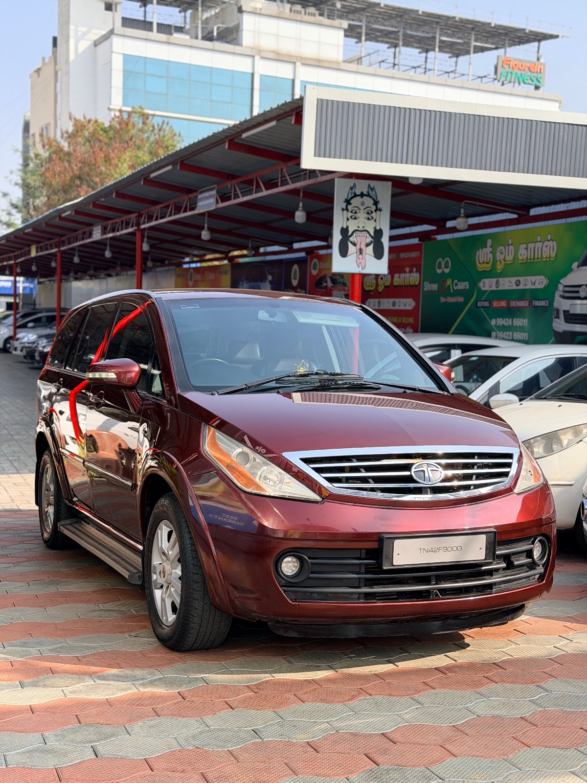 Tata Aria - Image 4
