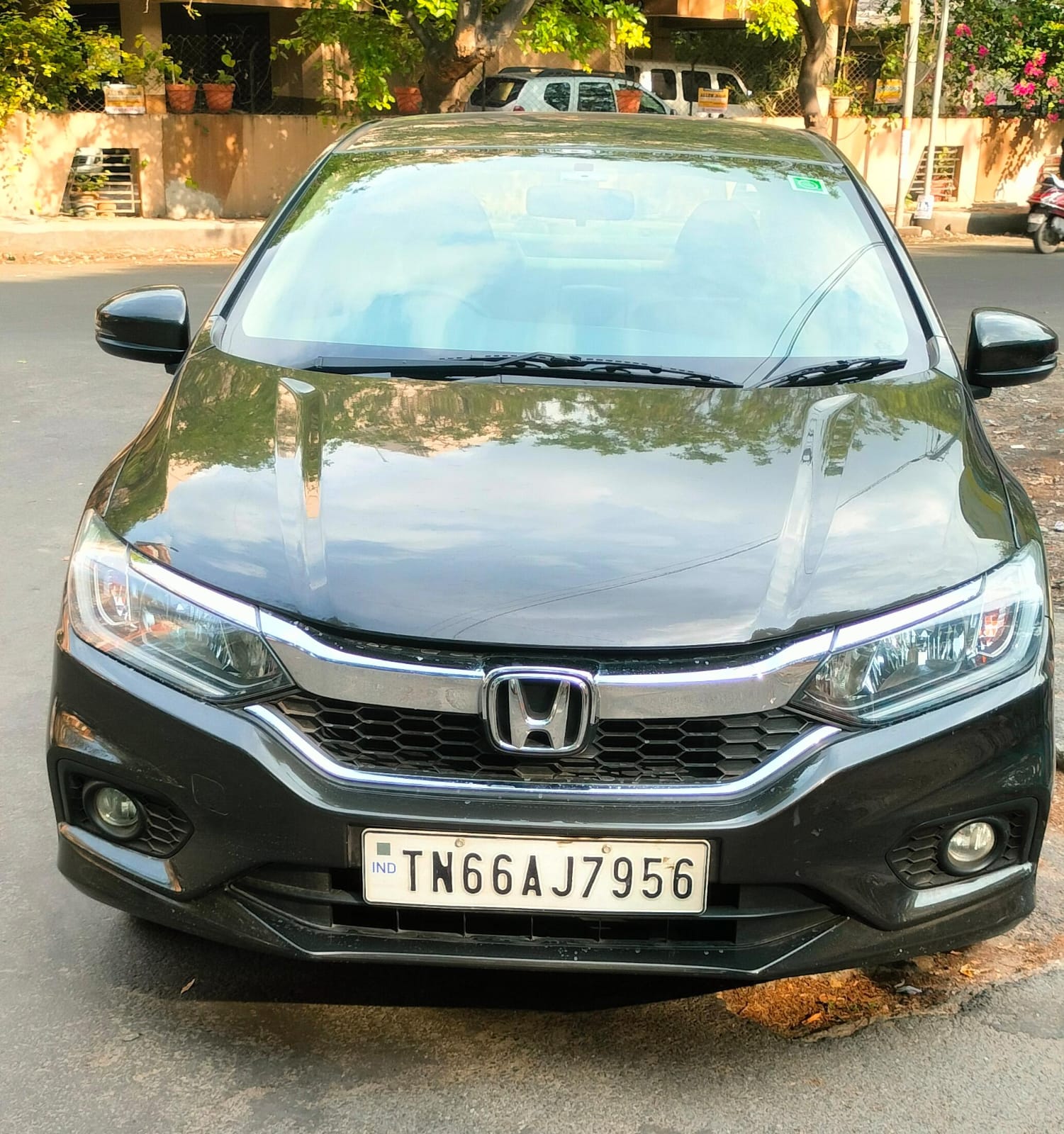 Honda City
