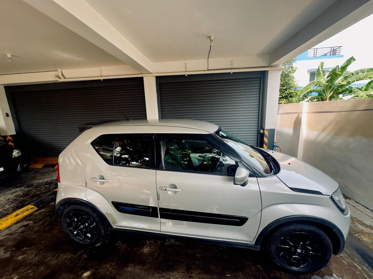 Maruti Suzuki Ignis - Image 6