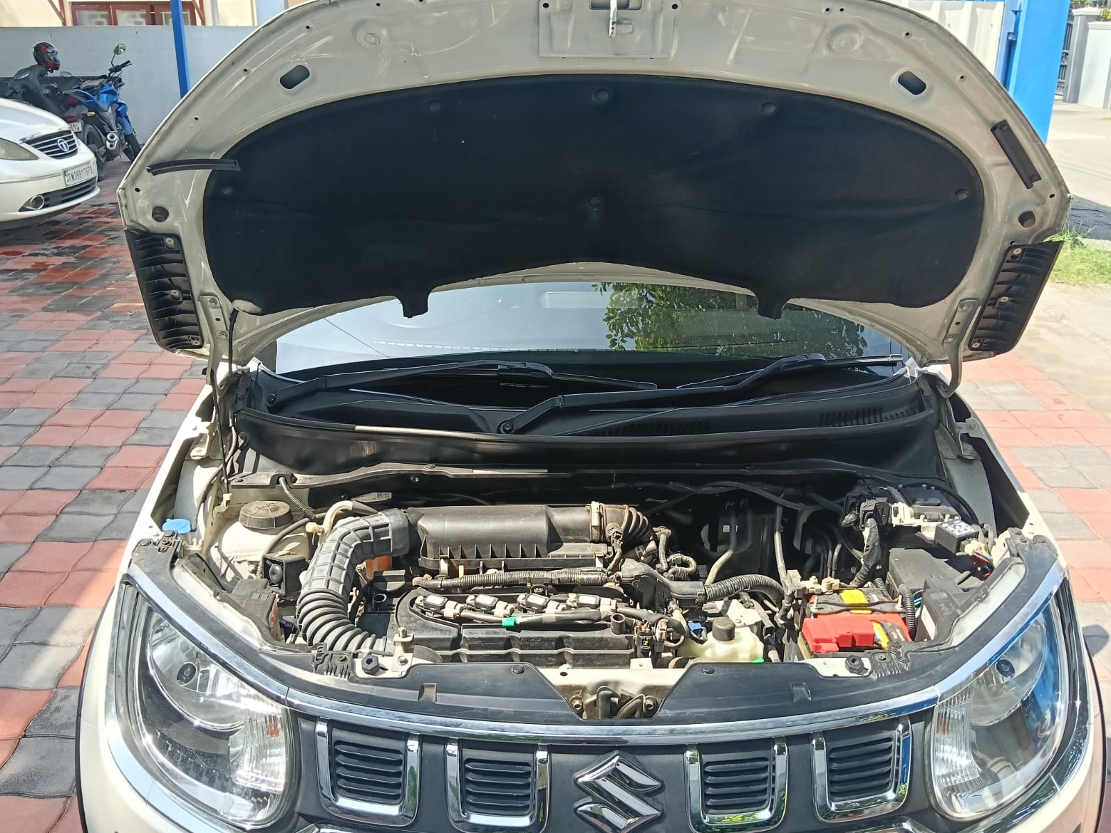 Maruti Suzuki Ignis - Image 12