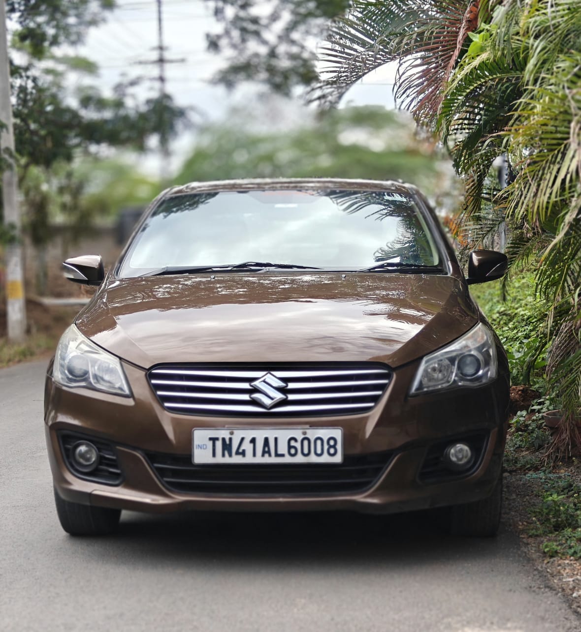 Maruti Suzuki Ciaz