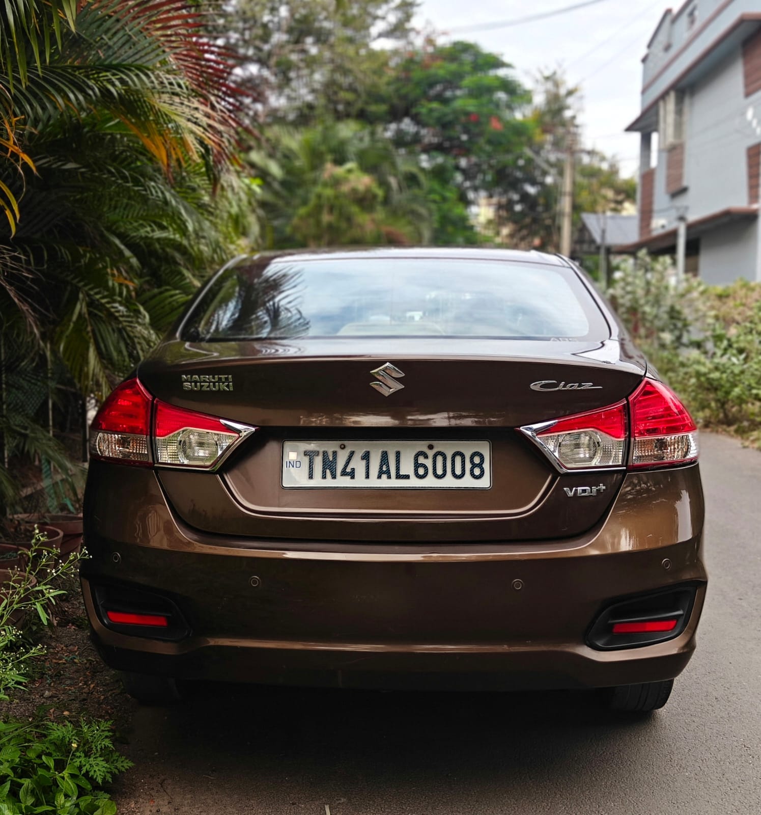 Maruti Suzuki Ciaz - Image 6