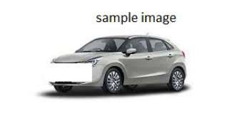 Maruti Suzuki Baleno others