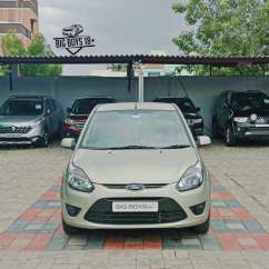 Ford Figo others