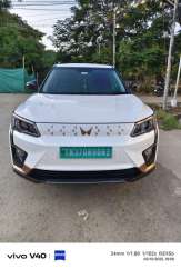 Mahindra XUV 400 others