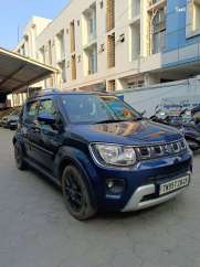 Maruti Suzuki Ignis others
