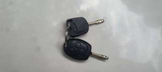 Ford Figo others