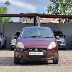Fiat Punto others