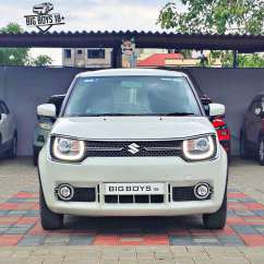 Maruti Suzuki Ignis others