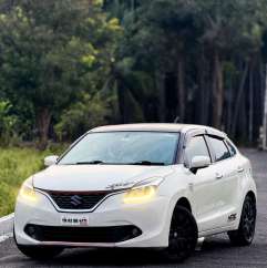 Maruti Suzuki Baleno others
