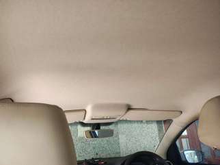 Volkswagen Polo others